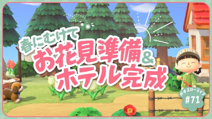 【祝！あつ森6周年】桜の季節にむけて島を整備！ホテルも8部屋目つくるよ🌸【よりどり島】