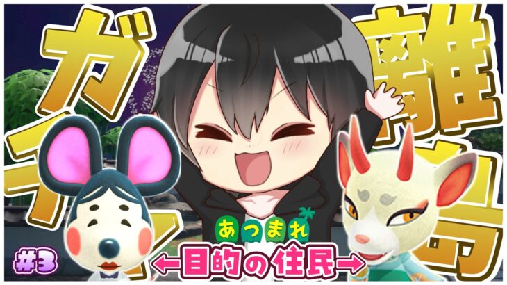 【あつ森】71回目～！和風住民に出会う離島ガチャ！100回までにどうにか会いたい！【あつまれどうぶつの森】