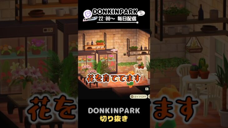 【あつ森】ハッピールーム8軒目　内装編【あつまれどうぶつの森】 #どうぶつの森  #animalcrossing   #twitch #switch2