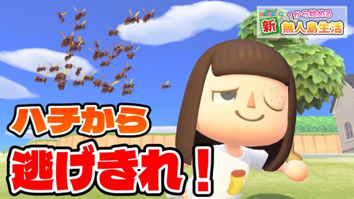 【リベンジ】ハチから逃げながら島一周チャレンジ！！！#96【あつ森/あつまれどうぶつの森】