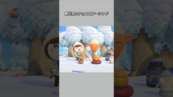 【あつ森】仲良し観光客のチョコとアーシンド。二人とも楽しそう😊【あつまれどうぶつの森】【どうぶつの森】【ACNH】 #short