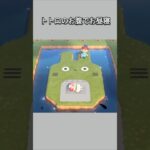 【あつ森】トトロのお腹でお昼寝するちゃちゃまる。【あつまれどうぶつの森】【どうぶつの森】【ACNH】 #short