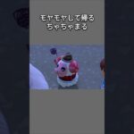 【あつ森】モヤモヤしたまま帰宅するちゃちゃまる。何があった？！【あつまれどうぶつの森】【どうぶつの森】【ACNH】 #short