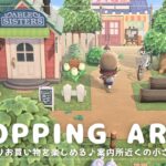 【あつ森】マイデザイン無しの島づくり|のんびりお買い物を楽しめる♪案内所近くの小さな商店街|Animal Crossing: New Horizons【島クリエイター】