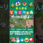【あつ森】なぜか住民さんがいる木にハチ🐝が出るんだけど💦(あたしの🏝️) #どうぶつの森 #AnimalCrossing #NintendoSwitch #NintendoSwitch2