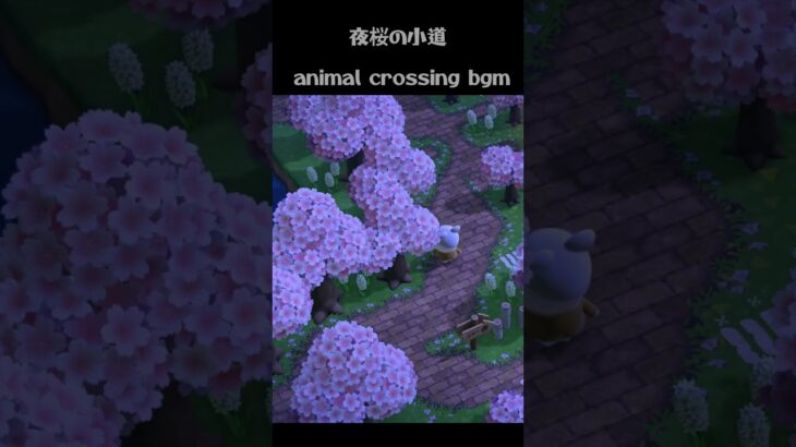 🌙 あつ森BGM｜夜桜の下でリラックスするアコースティック音楽【勉強・読書・睡眠導入】🌙 Cozy Acoustic Music Under Starry Sky & Cherry Blossoms