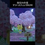 🌙 あつ森BGM｜夜桜の下でリラックスするアコースティック音楽【勉強・読書・睡眠導入】🌙 Cozy Acoustic Music Under Starry Sky & Cherry Blossoms