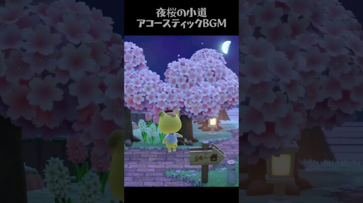 🌙 あつ森BGM｜夜桜の下でリラックスするアコースティック音楽【勉強・読書・睡眠導入】🌙 Cozy Acoustic Music Under Starry Sky & Cherry Blossoms