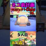 あつ森　プロジェクトCats ４