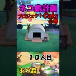 あつ森　プロジェクトCats９