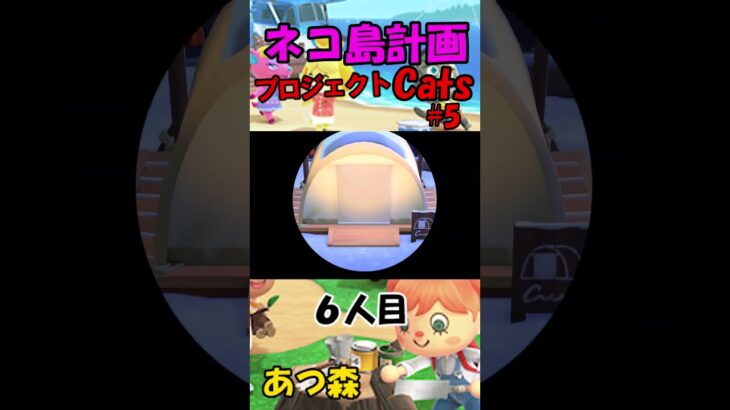 あつ森　プロジェクトCats 5