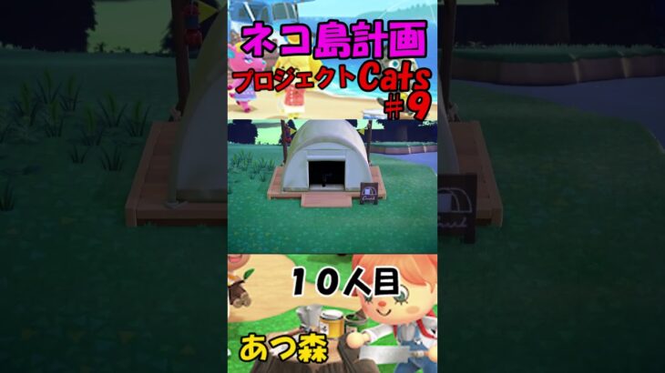 あつ森　プロジェクトCats９