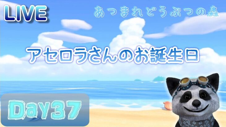 【あつ森】Day３７ お誕生日のお祝いと客室と別荘 ～自由気ままに島暮らし～