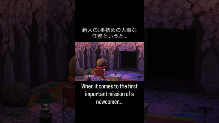 新人の初めての任務～First mission～ #あつ森 #あつまれどうぶつの森 #あつ森好きな人と繋がりたい #animalcrossing #桜  #acnh #mission #shorts