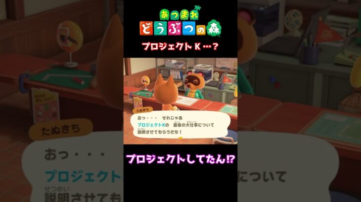 【おばちゃんのあつ森生活】プロジェクトK…？　🌳あつ森初心者🌳