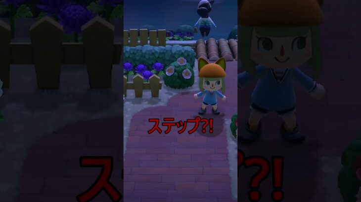 L＋方向キー　 #あつ森 #あつまれどうぶつの森