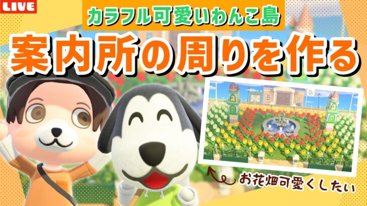 【あつ森】案内所の周りを完成させるぞ！カラフル可愛いわんこ住民の暮らす街を作るLIVE配信【あつまれ どうぶつの森】