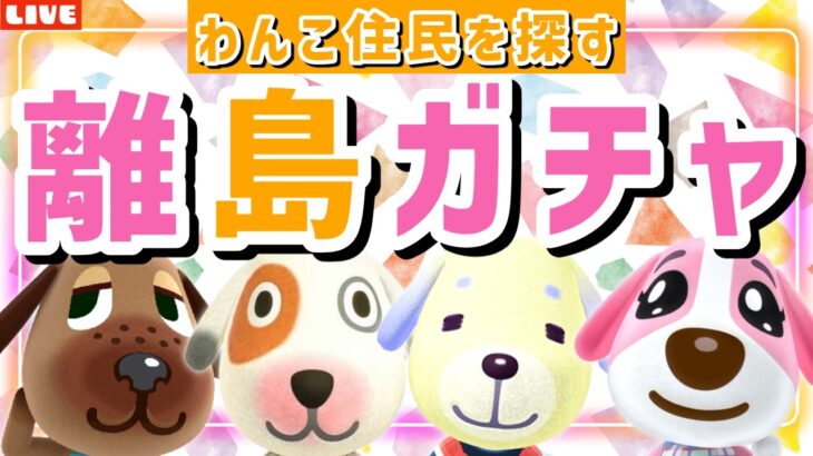 【あつ森】今日も犬住民を探す旅です！可愛いわんこ島を作るための離島ガチャLIVE配信【あつまれ どうぶつの森】
