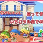 【LIVE 2026/3/20(金)】#20  あつ森6周年！【あつまれどうぶつの森/あつ森】