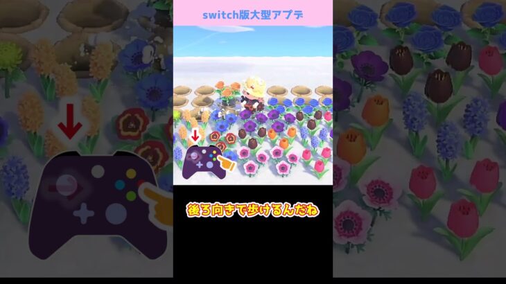 【あつ森】≪新機能≫L押しながらL移動　Aボタン