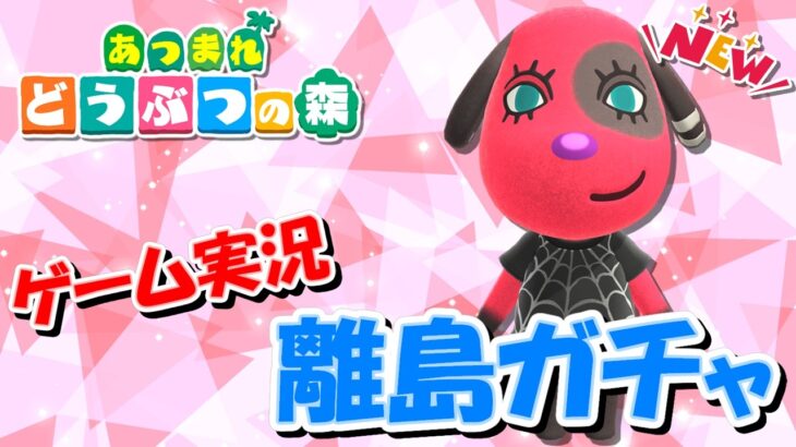 【あつ森】オネエの離島ガチャNEW ～メープルを探し求めて～ #9【ゲーム実況】