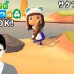 [あつ森]サケつり大会！（リスナーさん参加OK)[初見さんご参加大歓迎]