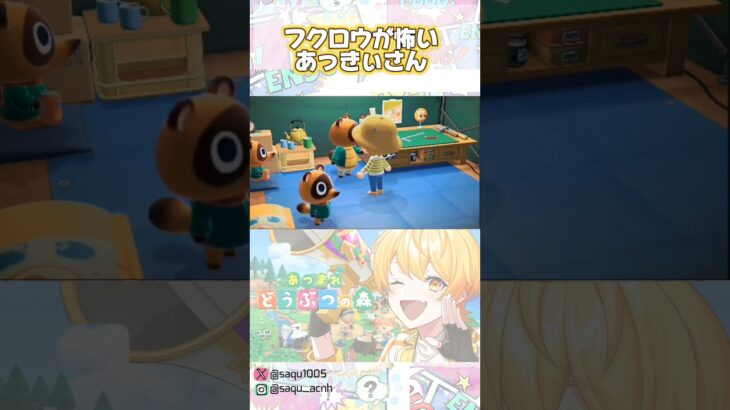 【フクロウが怖い、あっきぃさん】#あつ森 #STPRCLIP #AMPTAK #からあげあっきぃ見ろ