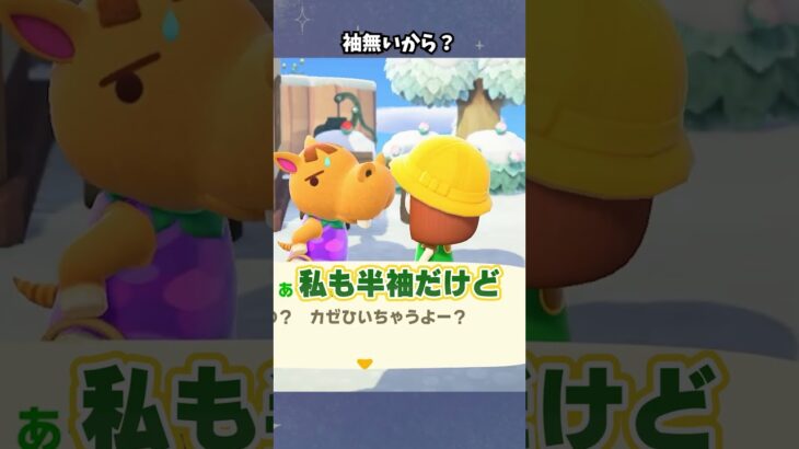 雪でもTシャツ！！！ #あつ森  #あつまれどうぶつの森  #女性ゲーム実況