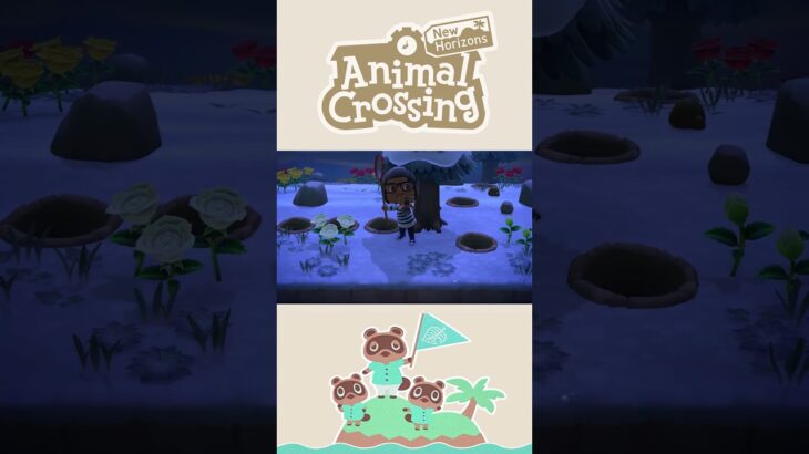 The War  #animalcrossing #animalcrossingnewhorizons #acnh