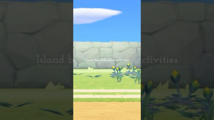 島の美化活動🪴✨あつ森Vlog🌳 #animalcrossingnewhorizons #あつ森 #vlog #animalcrossing #acnh #あつまれどうぶつの森