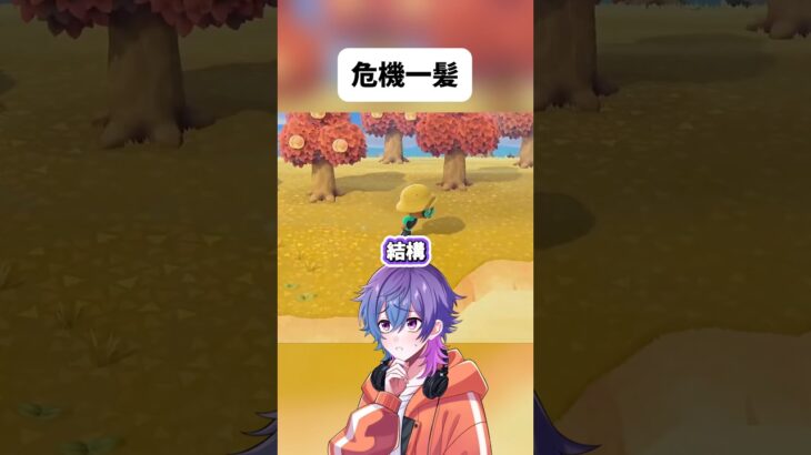 間一髪ギリギリ地獄を回避する実況者WWWWWW #あつ森 #shorts