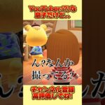 YouTuber(?)な息子だけど、、#あつ森 #あつまれどうぶつの森 #shorts