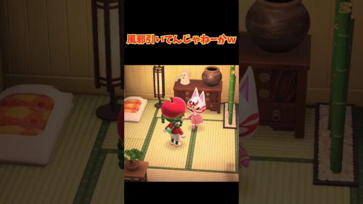 風邪引いてんじゃねーか #あつ森 #acnh #あつまれどうぶつの森#ショート  #ゲーム#animalcrossing #animalcrossingnewhorizons #どうぶつの森