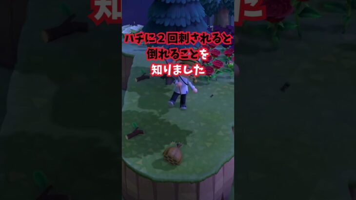 クスリをケチってたら #あつ森 #あつまれどうぶつの森#ショート  #ゲーム#どうぶつの森 #acnh #animalcrossing #animalcrossingnewhorizons