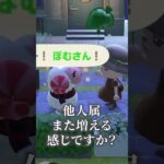 ぼむさん大流行中かしら #あつ森 #animalcrossing #あつまれどうぶつの森
