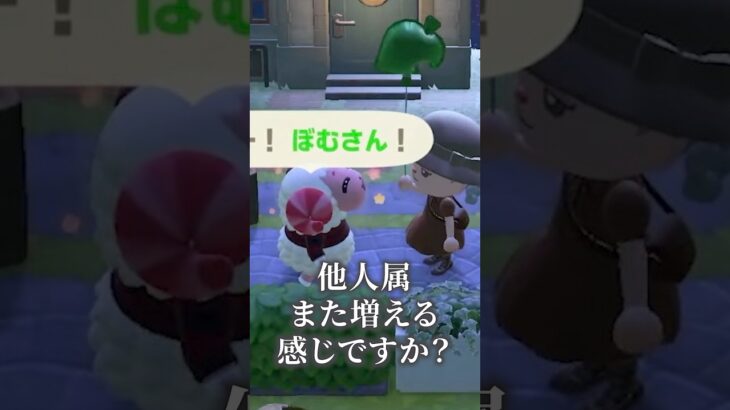 ぼむさん大流行中かしら #あつ森 #animalcrossing #あつまれどうぶつの森