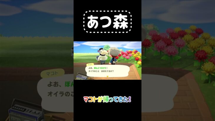 【あつ森】引っ越した住民が観光してた！ #あつ森 #ゲーム実況 #あつまれどうぶつの森 #animalcrossing