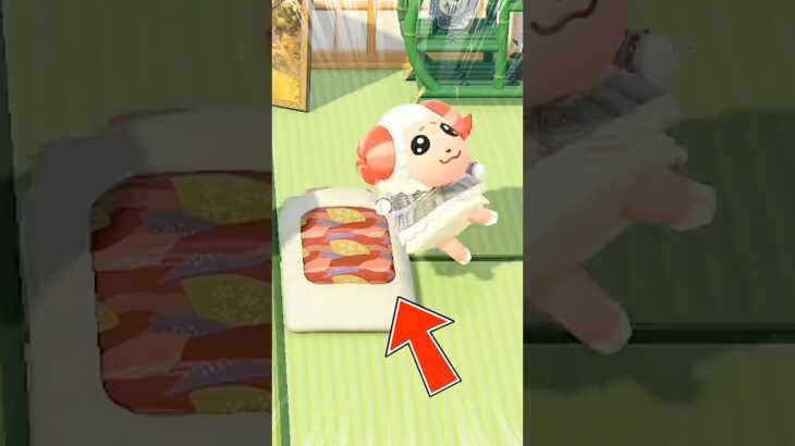 女の布団をかけた男の戦い #あつ森 #あつまれどうぶつの森 #animalcrossing