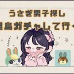 【あつ森】うさぎ男子探し🐰ゆーちゃんの朝森🌸 うさぎ島目指す　#ゲーム実況  #animalcrossing