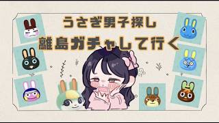 【あつ森】うさぎ男子探し🐰ゆーちゃんの朝森🌸 うさぎ島目指す　#ゲーム実況  #animalcrossing