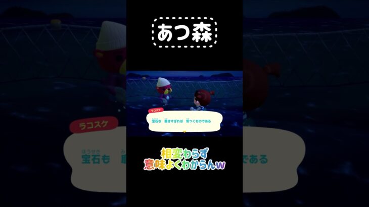【あつ森】ラコスケの名言集 #あつ森 #あつまれどうぶつの森 #animalcrossing