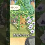 今度は犠牲にしないからなッ☆ #あつ森 #あつまれどうぶつの森 #animalcrossing