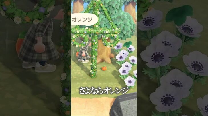 今度は犠牲にしないからなッ☆ #あつ森 #あつまれどうぶつの森 #animalcrossing