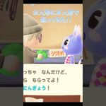 あたいらギャルのおきてでしょ☆ #あつ森 #あつまれどうぶつの森 #animalcrossing