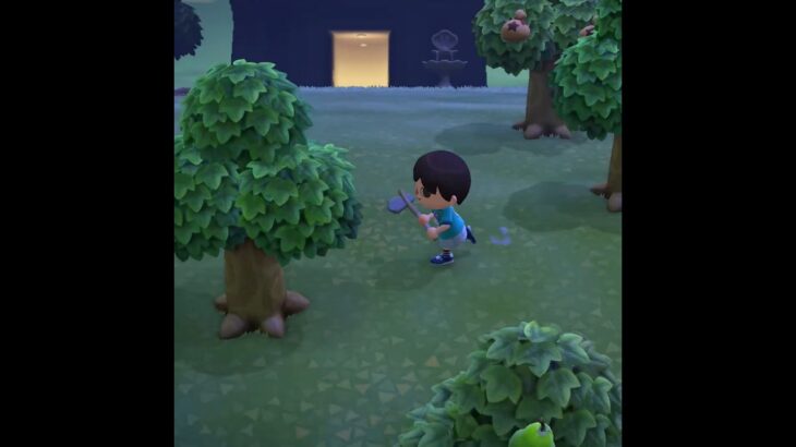 【推奨】木材調達は逃げきれる距離で🍯🤭 #あつ森 #あつまれどうぶつの森 #animalcrossing