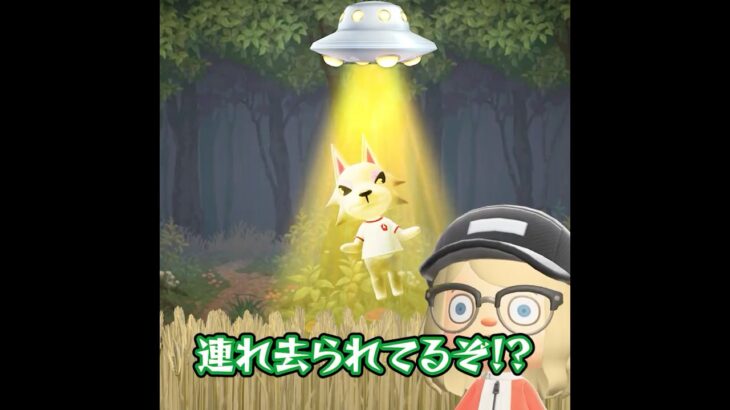 ツチノコを捕獲せよ‼ #あつ森 #あつ森アプデ #animalcrossing