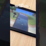 あつ森たのしい！！🏝⛺️推しはつぶきち、まめきちです₍ᐢ⓿ᴥ⓿ᐢ₎#animalcrossing #あつ森 #たぬきち#Switch