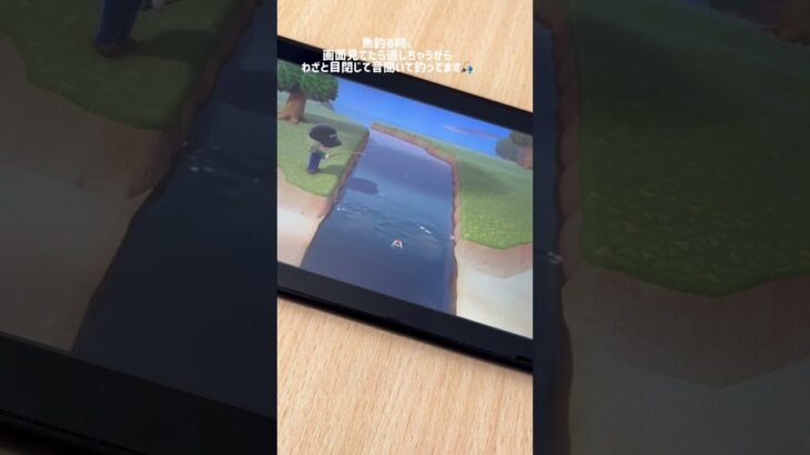 あつ森たのしい！！🏝⛺️推しはつぶきち、まめきちです₍ᐢ⓿ᴥ⓿ᐢ₎#animalcrossing #あつ森 #たぬきち#Switch