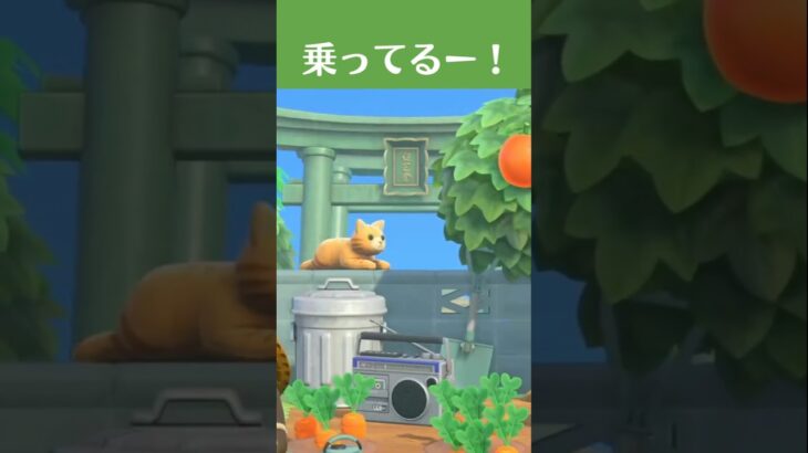 【あつ森】ブロック塀にねこ乗せてみた！ねこのぬいぐるみを使った島クリアイディア #あつ森 #あつまれどうぶつの森 #animalcrossing #acnh #ゲーム
