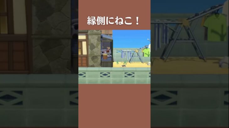 【あつ森】ねこのいる縁側を作ってみた！ねこのぬいぐるみを使った島クリアイディア｜ #あつ森 #あつまれどうぶつの森 #animalcrossing #acnh #ゲーム